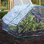 1m Square Cloche 1m Square Cloche