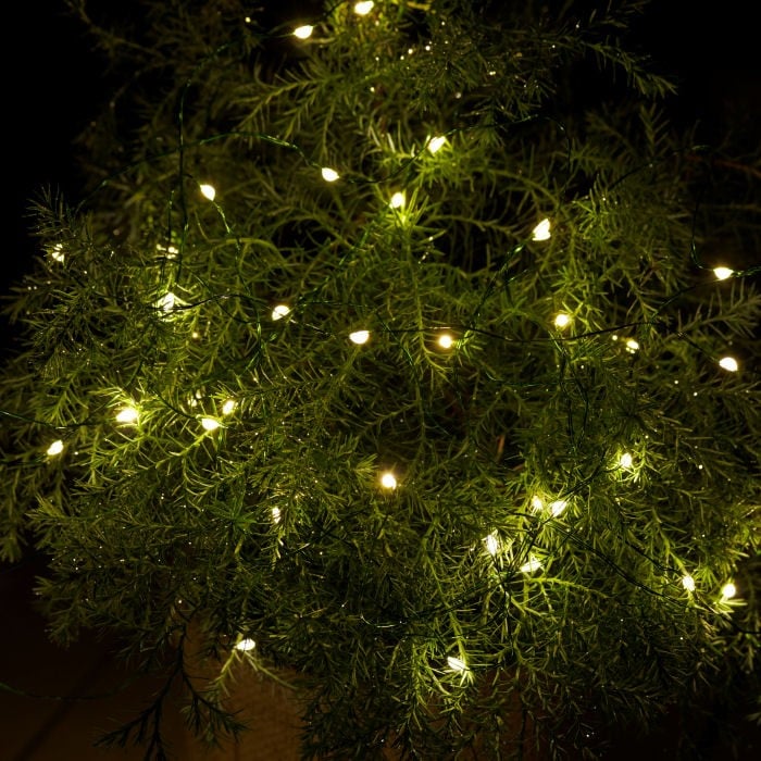 40 LED Fairylights with Auto Timer for Indoor/Outdoor Use Harrod Horticultural