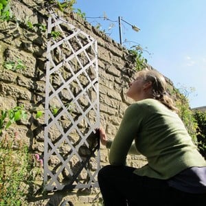 Superior Lattice Wall Trellis Panel