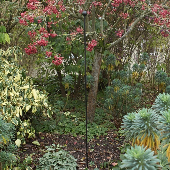 Harrod Steel Plant Stakes have been designed to provide strong support