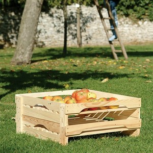 Stackable Apple Rack