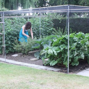 Aluminium Fruit Cage With Butterfly Netting