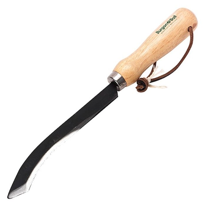 Harvesting and Asparagus Knife Harrod Horticultural
