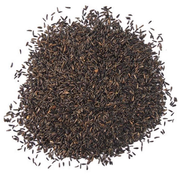 Premium Niger Seed Harrod Horticultural