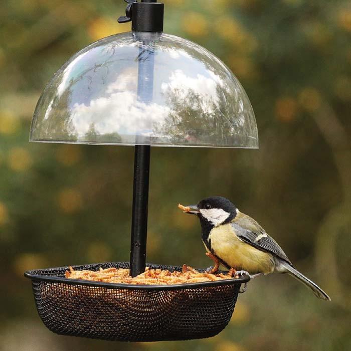 mealworm suet pellet bird feeder harrod horticultural mealworm suet pellet bird feeder harrod horticultural