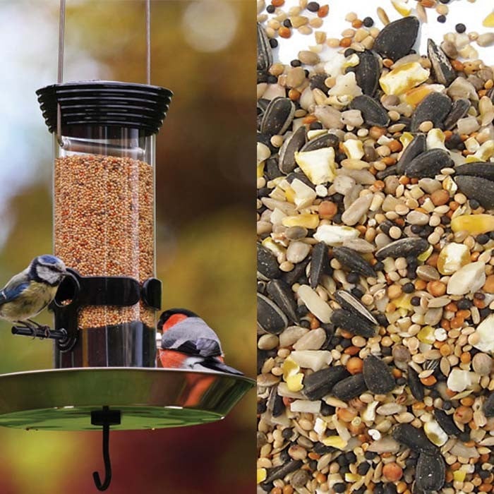 Special Bird Feeder & Food Offer Harrod Horticultural
