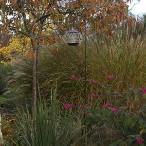 Shepherd's Crook - Bird Feeder Hanging Hook