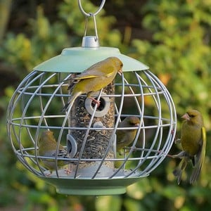 Round Helix Bird Seed Feeder - Sage