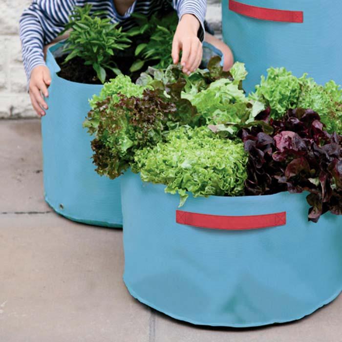Vegetable Patio Planters Harrod Horticultural (UK)