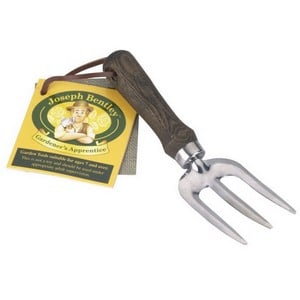 Joseph Bentley Young Apprentice Hand Fork