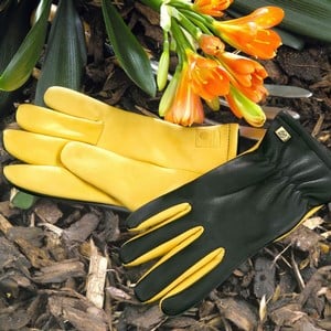 Gold Leaf Dry Touch Gloves