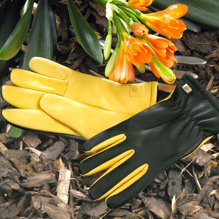 Gold Leaf Gardening Gloves Gardening Gloves Harrod Horticultural (UK)