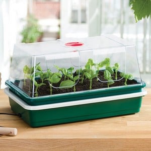 Electric Starter Propagator