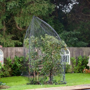 Harrod Fruit Tree Cover