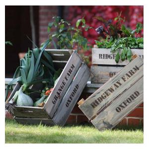 Wooden Fruit Box