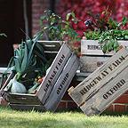 Wooden Fruit Box