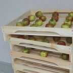 Stackable Apple Rack
