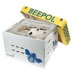 Beepol Bumblebee Hive