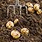Rolawn Topsoil and Soil Improver