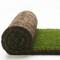 Rolawn Turf