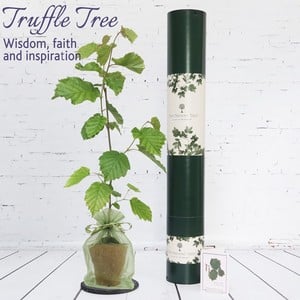 Truffle Tree Gift