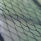 Poultry Heavy-Duty Roof Netting