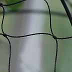 Heavy Duty Anti Pigeon Netting