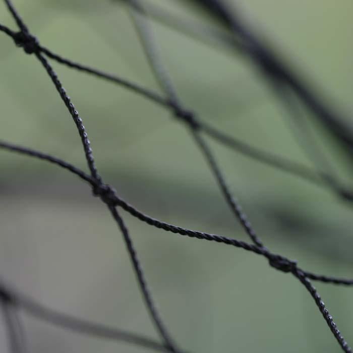Pond Netting Harrod Horticultural (UK)