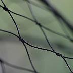 Pond Netting - Heavy Duty 45mm Mesh
