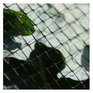 Butterfly Netting Rigid Plastic Mesh