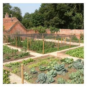 Timber Fruit Cages