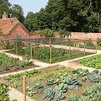 Timber Fruit Cages