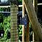 Timber Fruit Cage Door Kit (Additional)