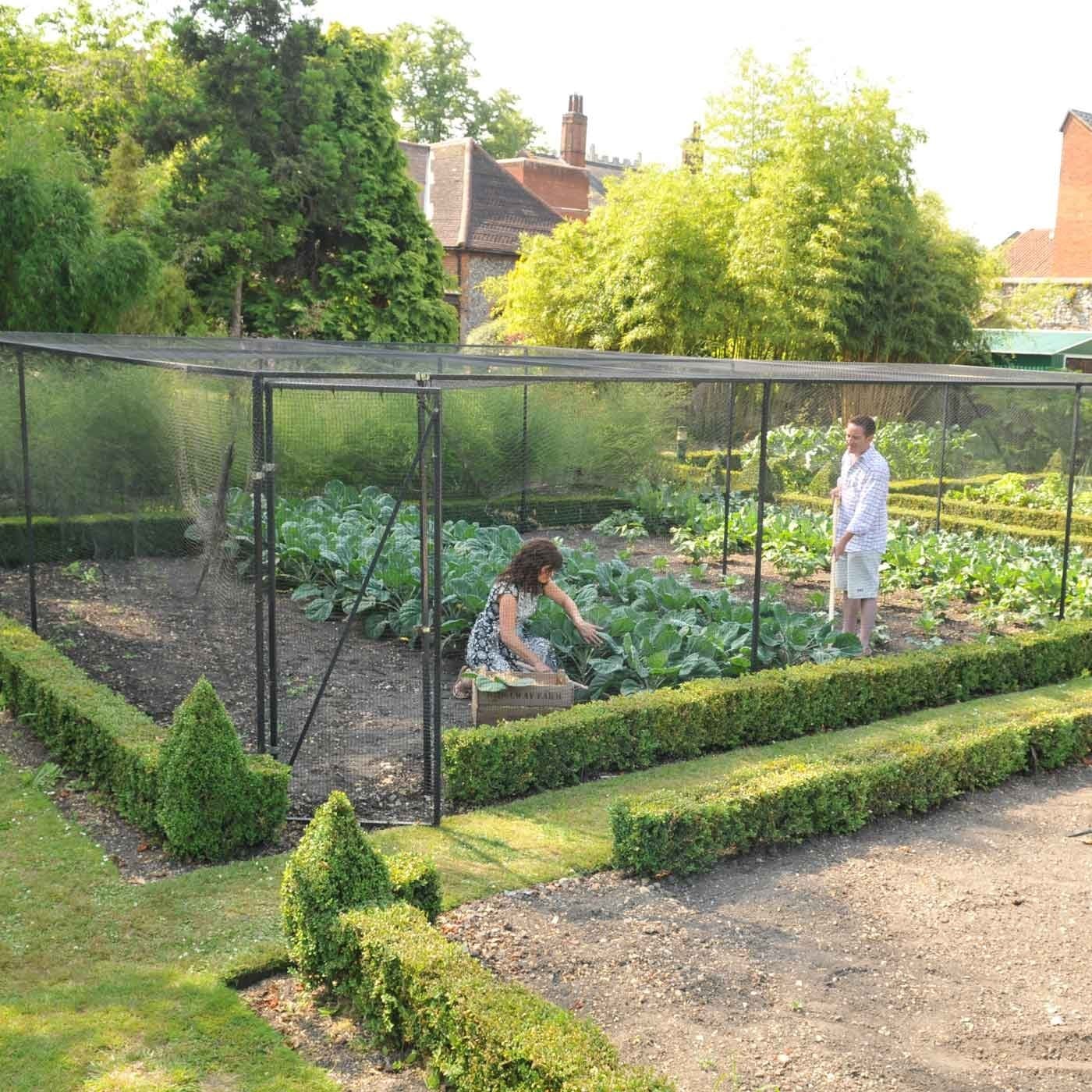 Steel Fruit Cages Harrod Horticultural