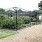 Steel Fruit Cages