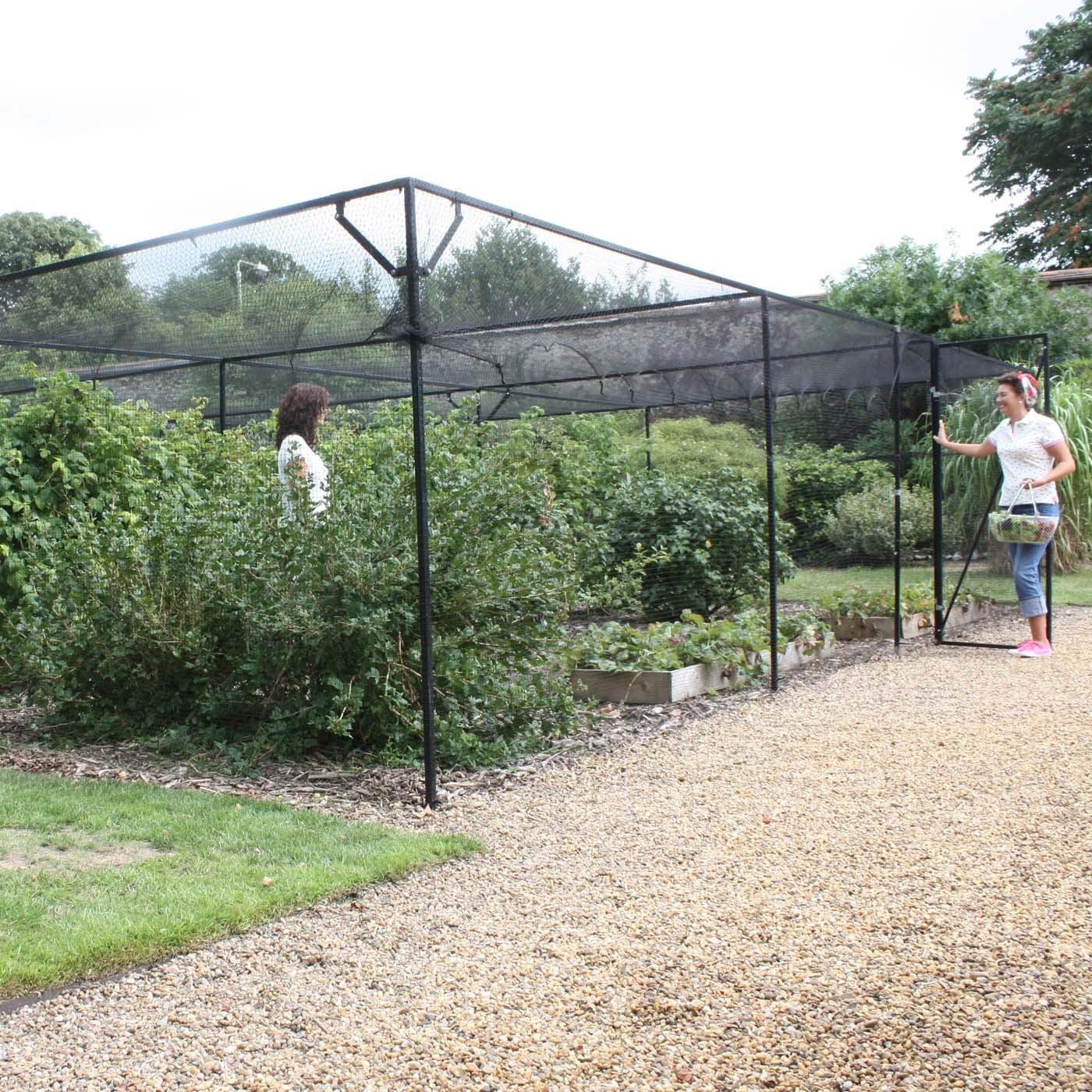 Heavy Duty Steel Fruit Cages Harrod Horticultural