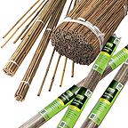 Bamboo Canes