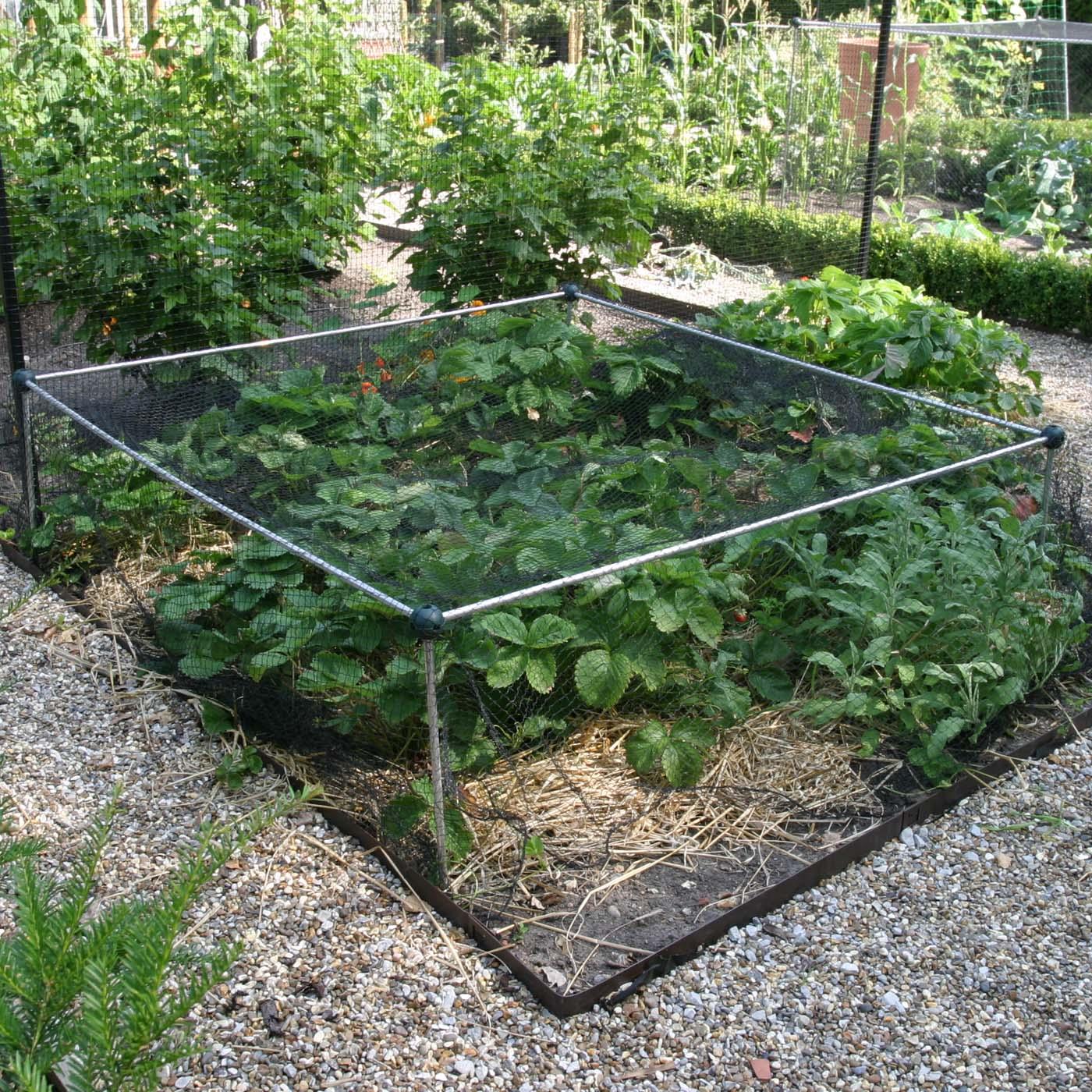 Aluminium Strawberry Cage with HeavyDuty Anti Bird Netting Harrod