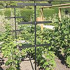 Raspberry Protection and Support Frame