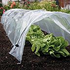 Easy Poly Tunnels