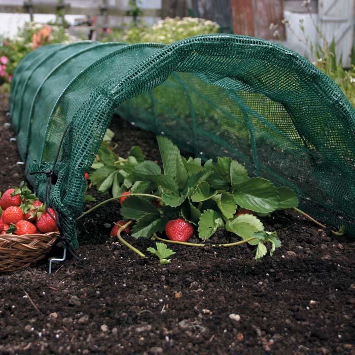 Easy Net Tunnels Harrod Horticultural (UK)