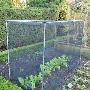 Harrod Stormproof natural 12m H Vegetable Cage