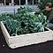 Allotment Wooden Raised Beds