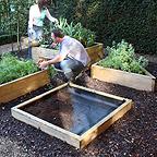 Allotment Wooden Raised Beds