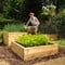 Standard Wooden Raised Beds