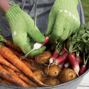 Vegetable Scrubbing Gloves