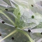 Eco-Green Aerated Polythene