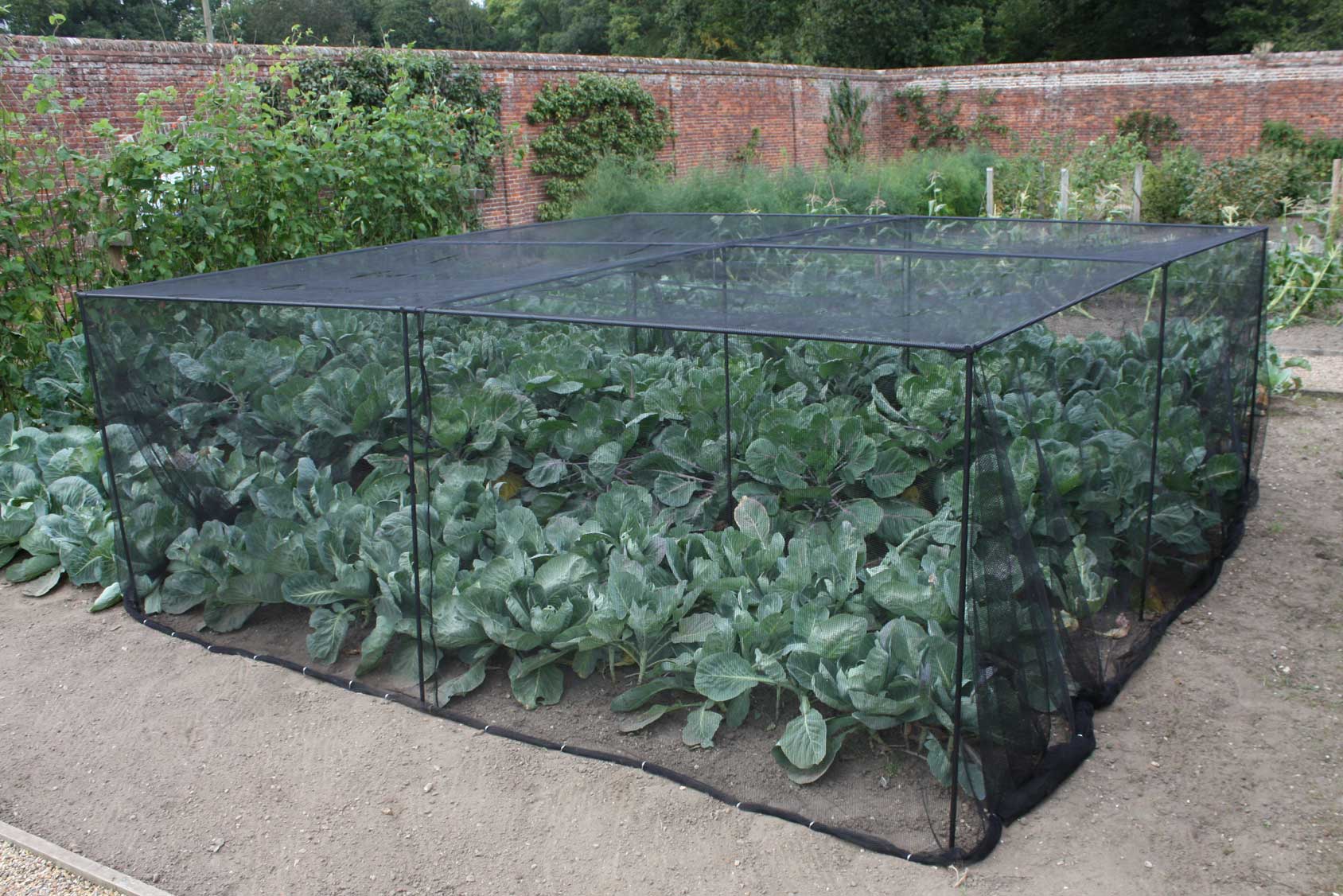 Harrod Slot & Lock(r) Black Vegetable Cage (1.2m H)