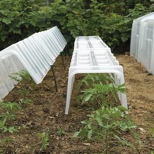 Mini Greenhouse Cloche Tunnels