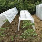 Mini Greenhouse Cloche Tunnels